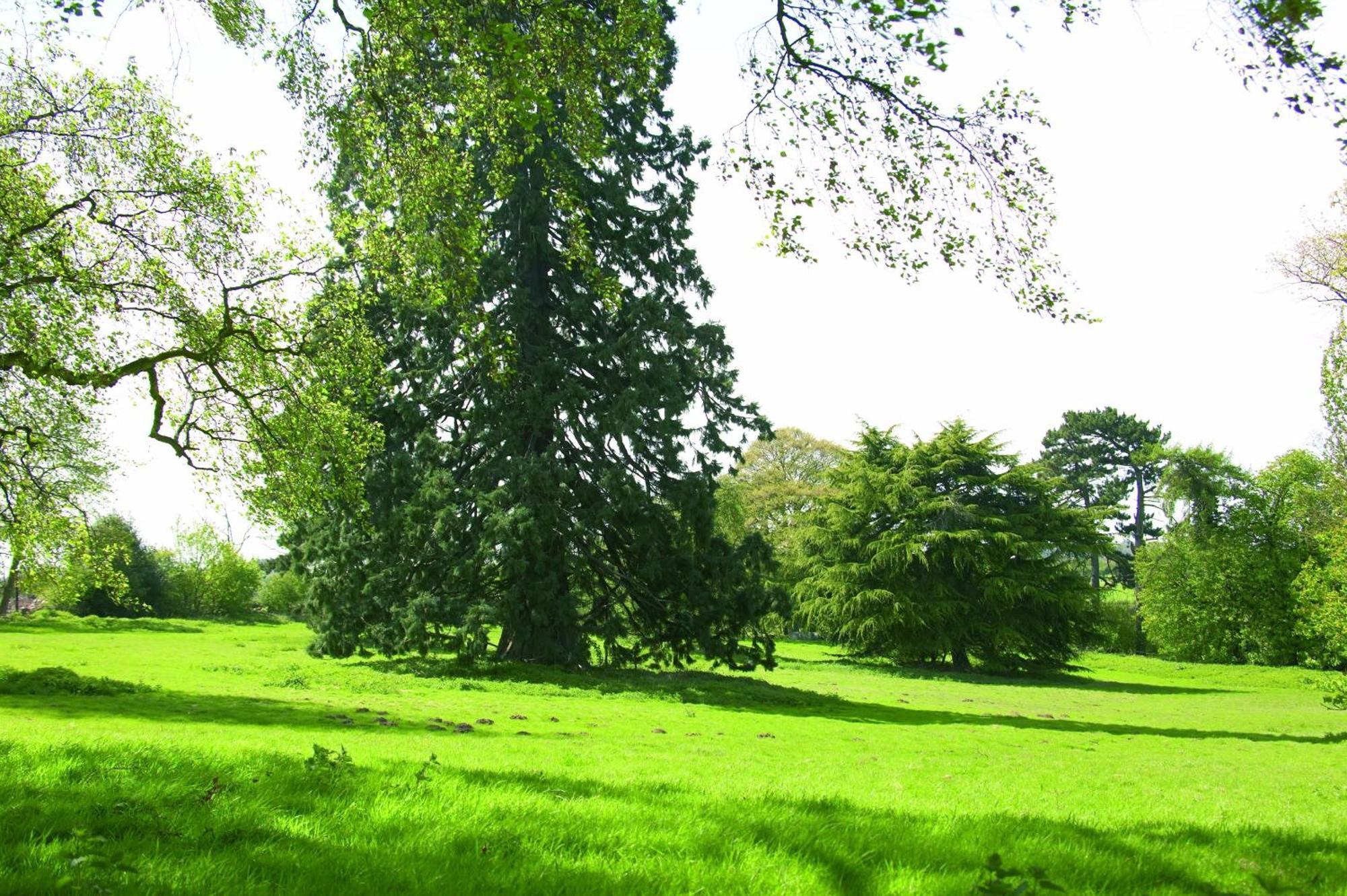 Woodland Grange Hotel Lillington  Luaran gambar