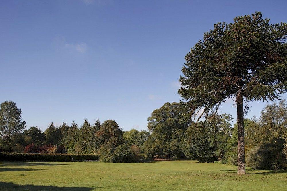 Woodland Grange Hotel Lillington  Luaran gambar